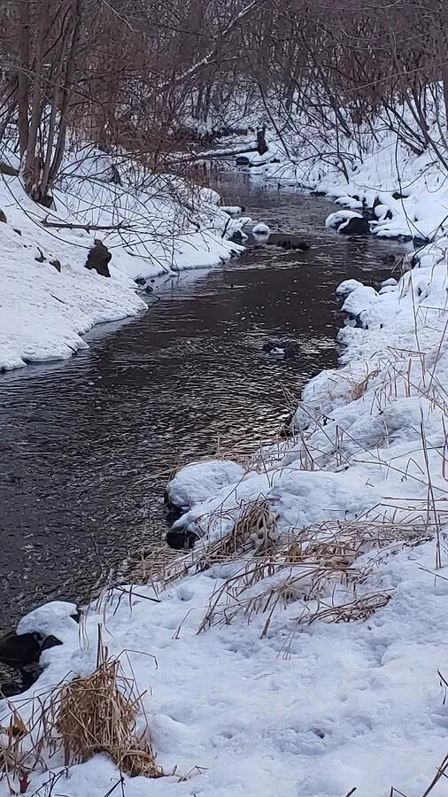 Freshly fallen snow at Purgatory Creek by Tom Halseth